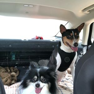 Meet your Posher, Dena